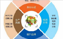 二維碼質量追溯系統是如何實現全程追溯的？